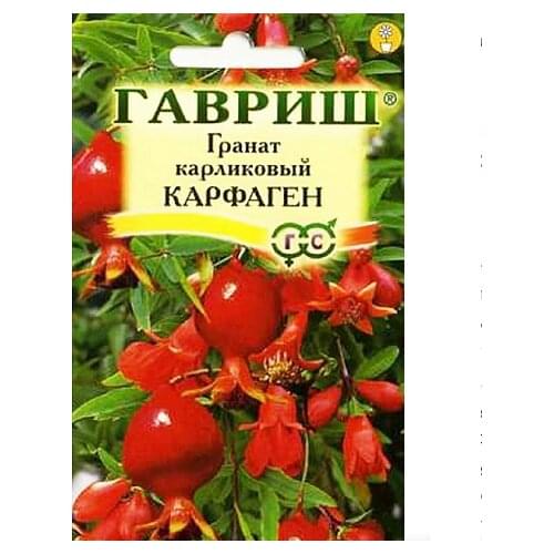 Семена граната из Китая купить на русском языке в рублях по низкой цене